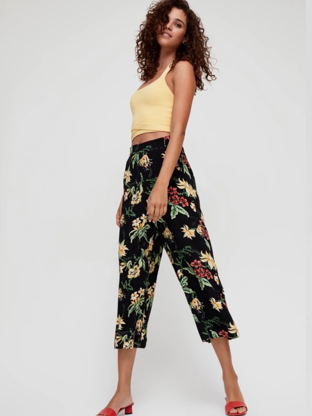 Wilfred Floral Faun Ankle Pant, Size Small, Artizia